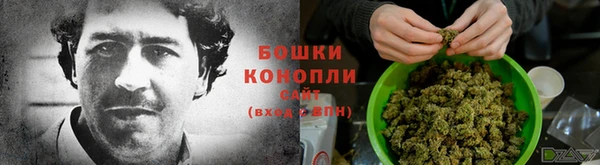 прущие крисы Магас