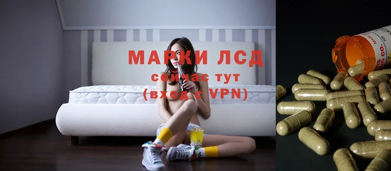 Лсд 25 экстази кислота  omg маркетплейс  Жирновск  где купить наркоту 